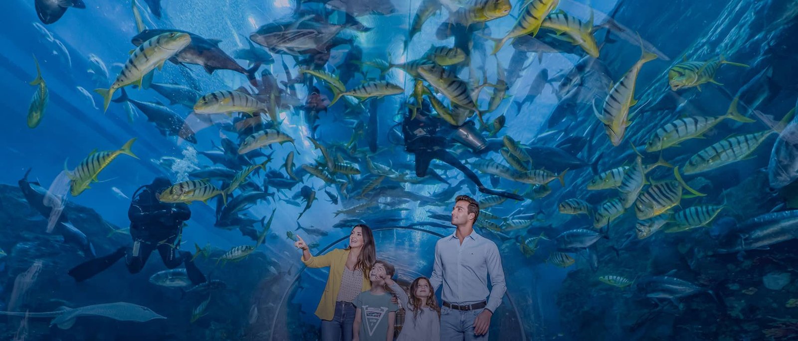Dubai Mall Aquarium + Under Water Zoo
